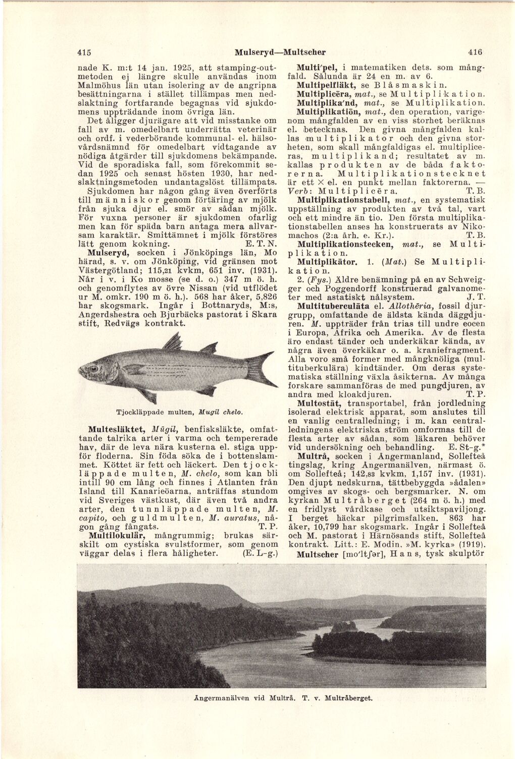 scanned image