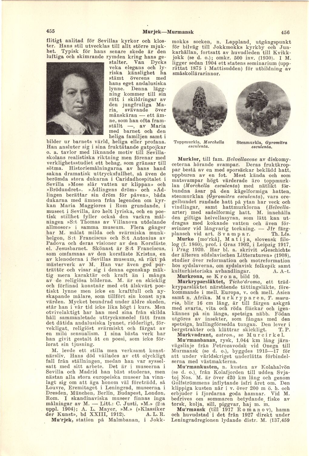 scanned image