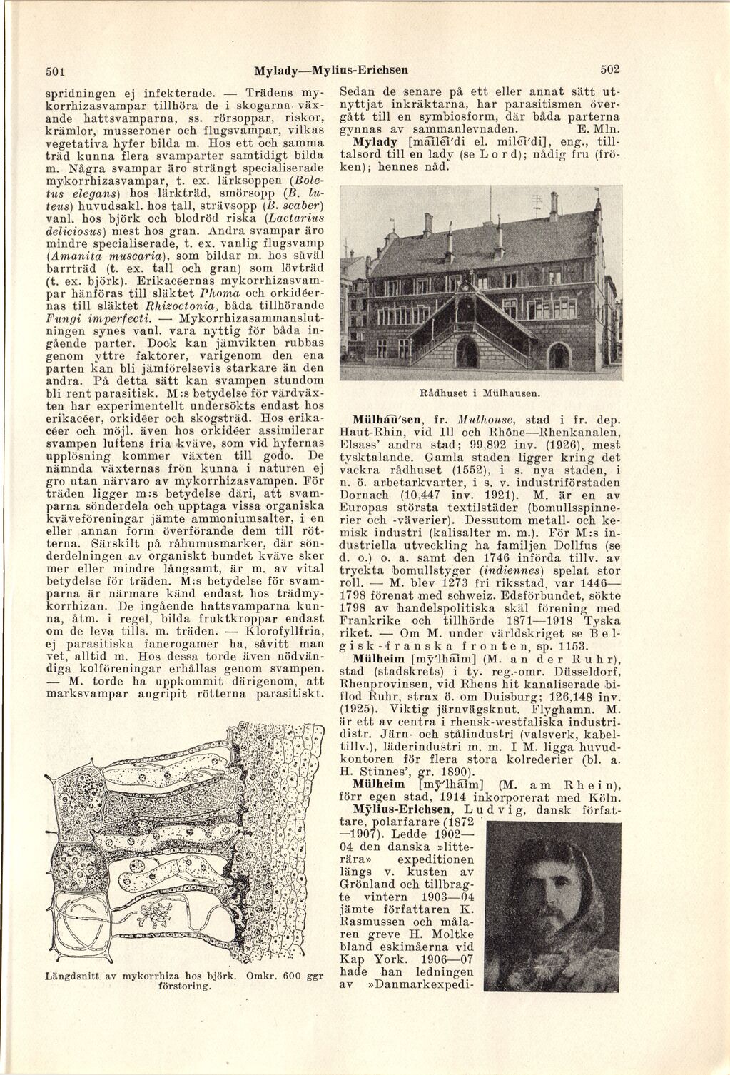 scanned image