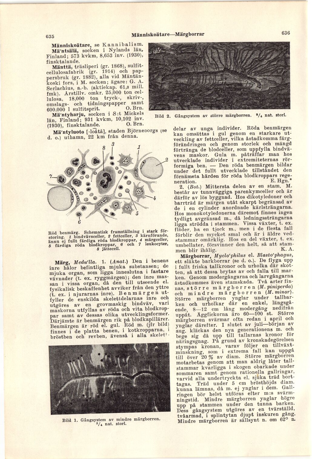 scanned image