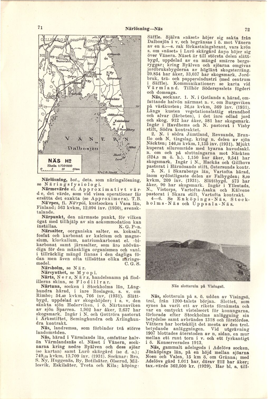 scanned image