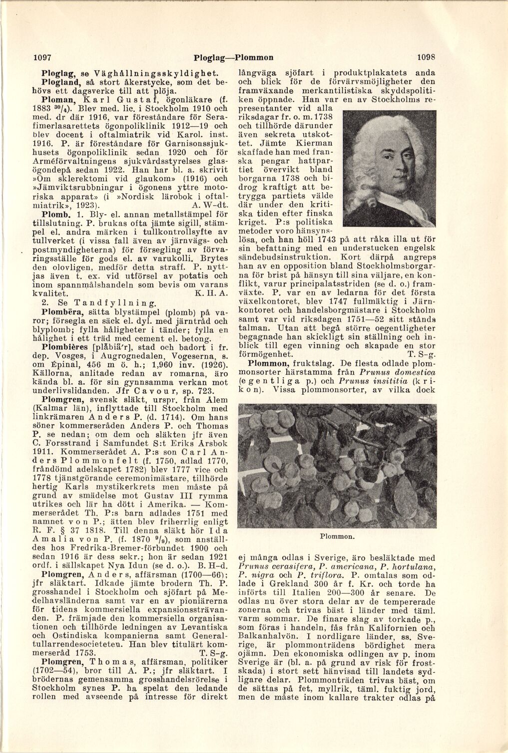 scanned image