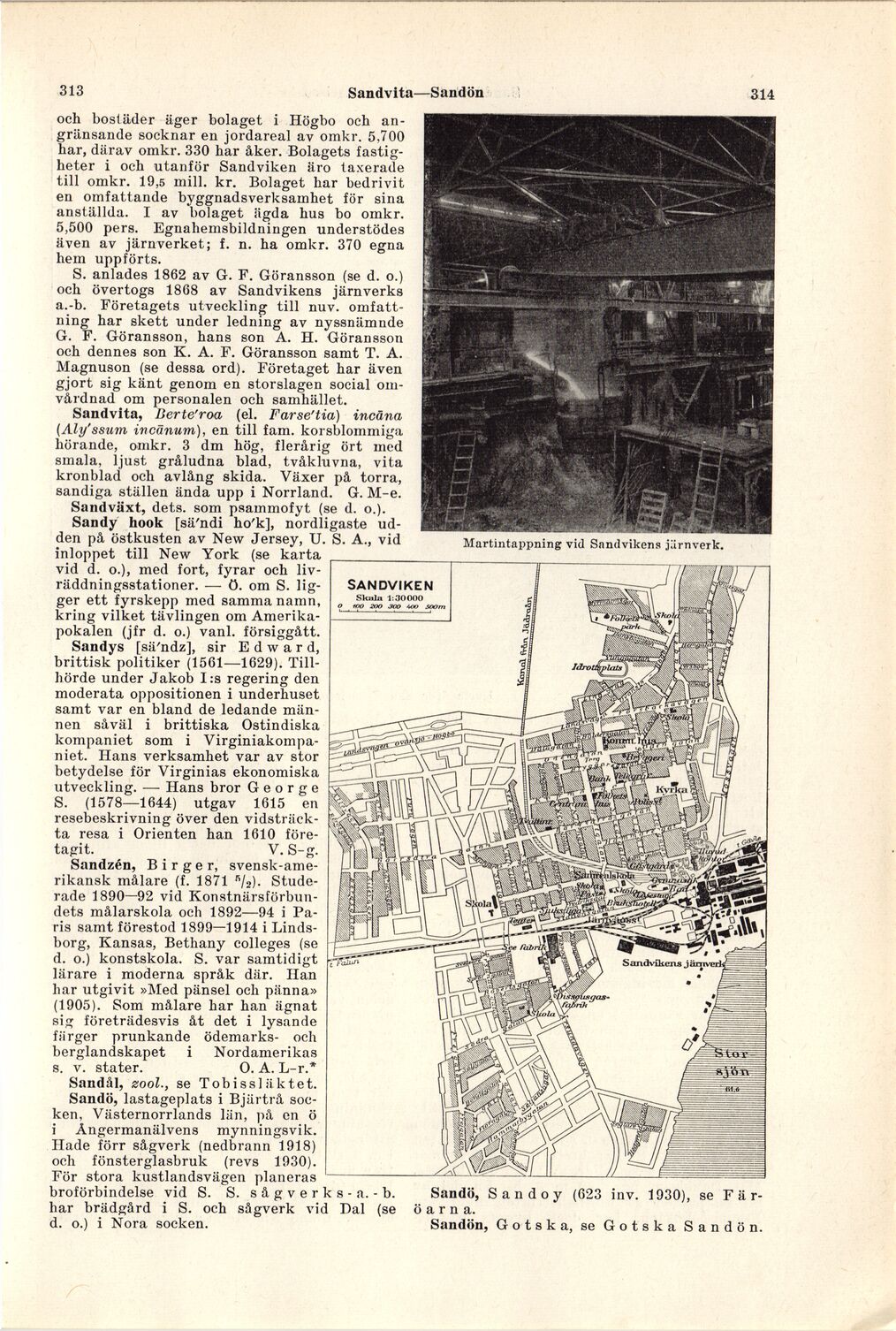 scanned image