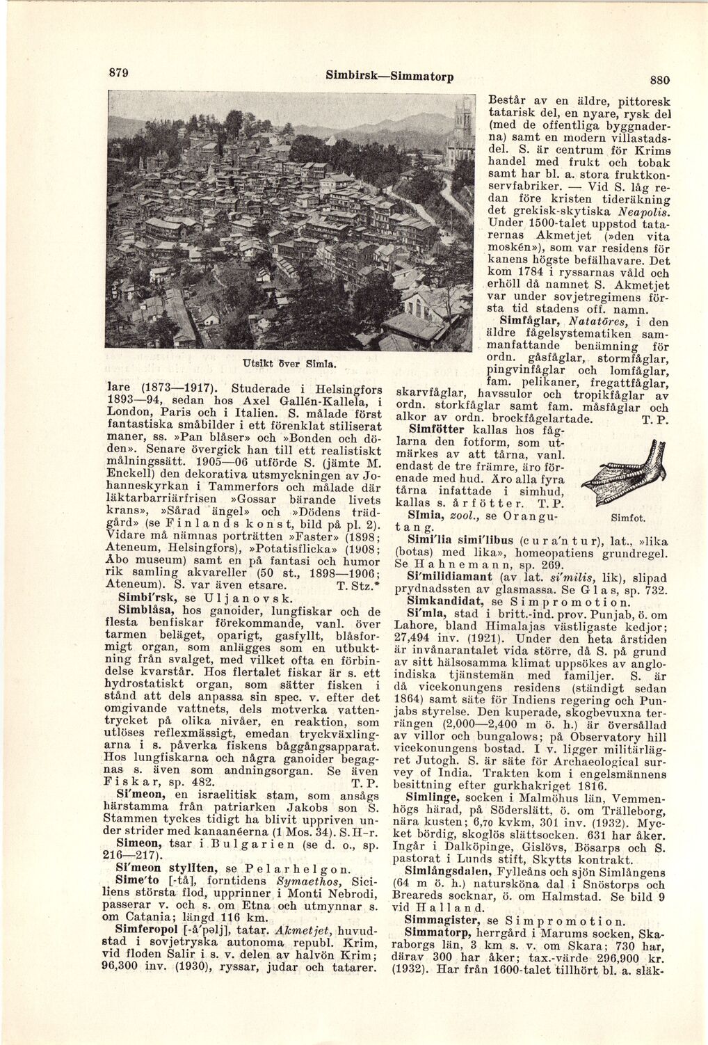scanned image