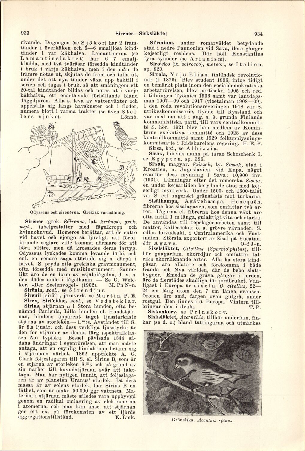 scanned image