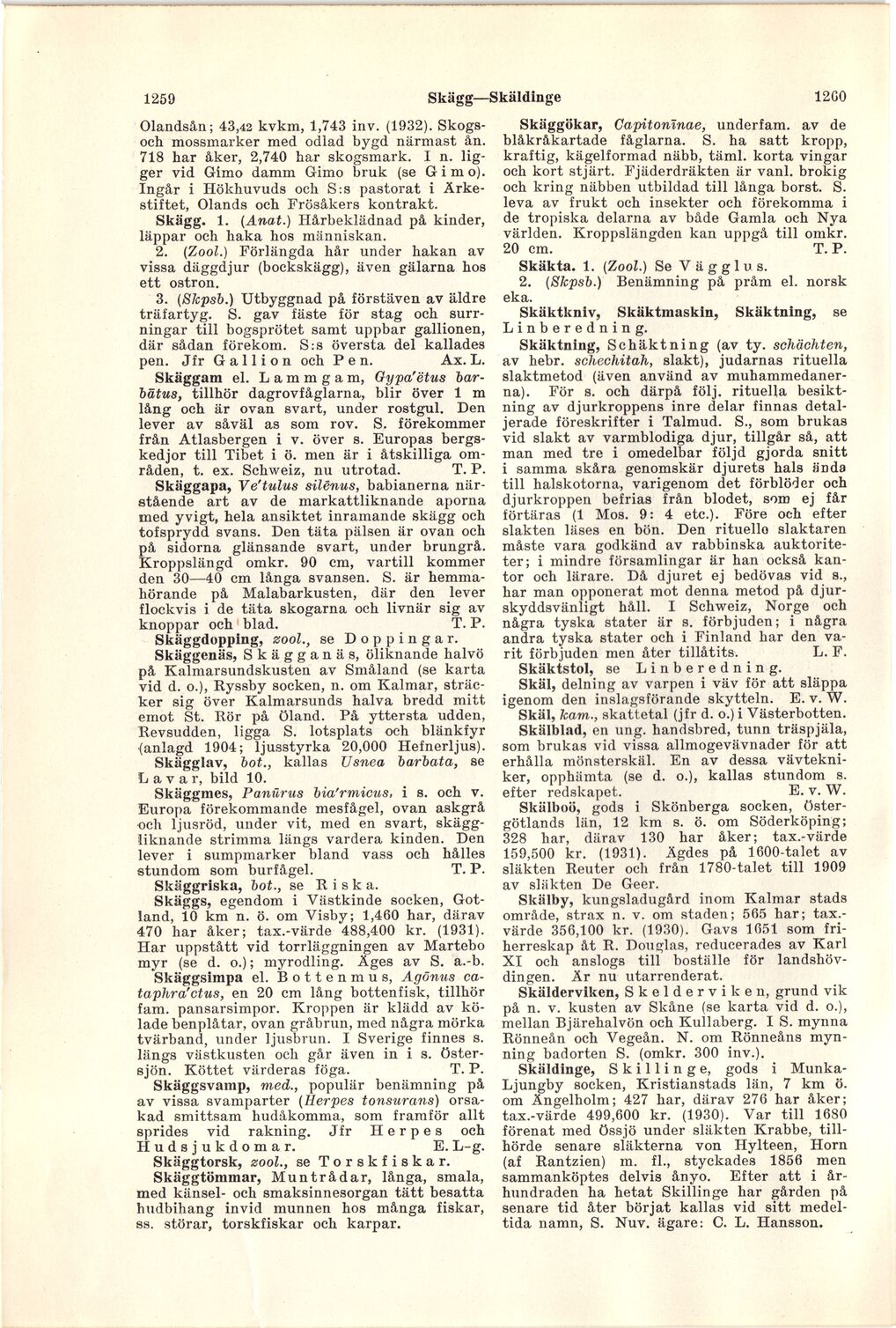 scanned image