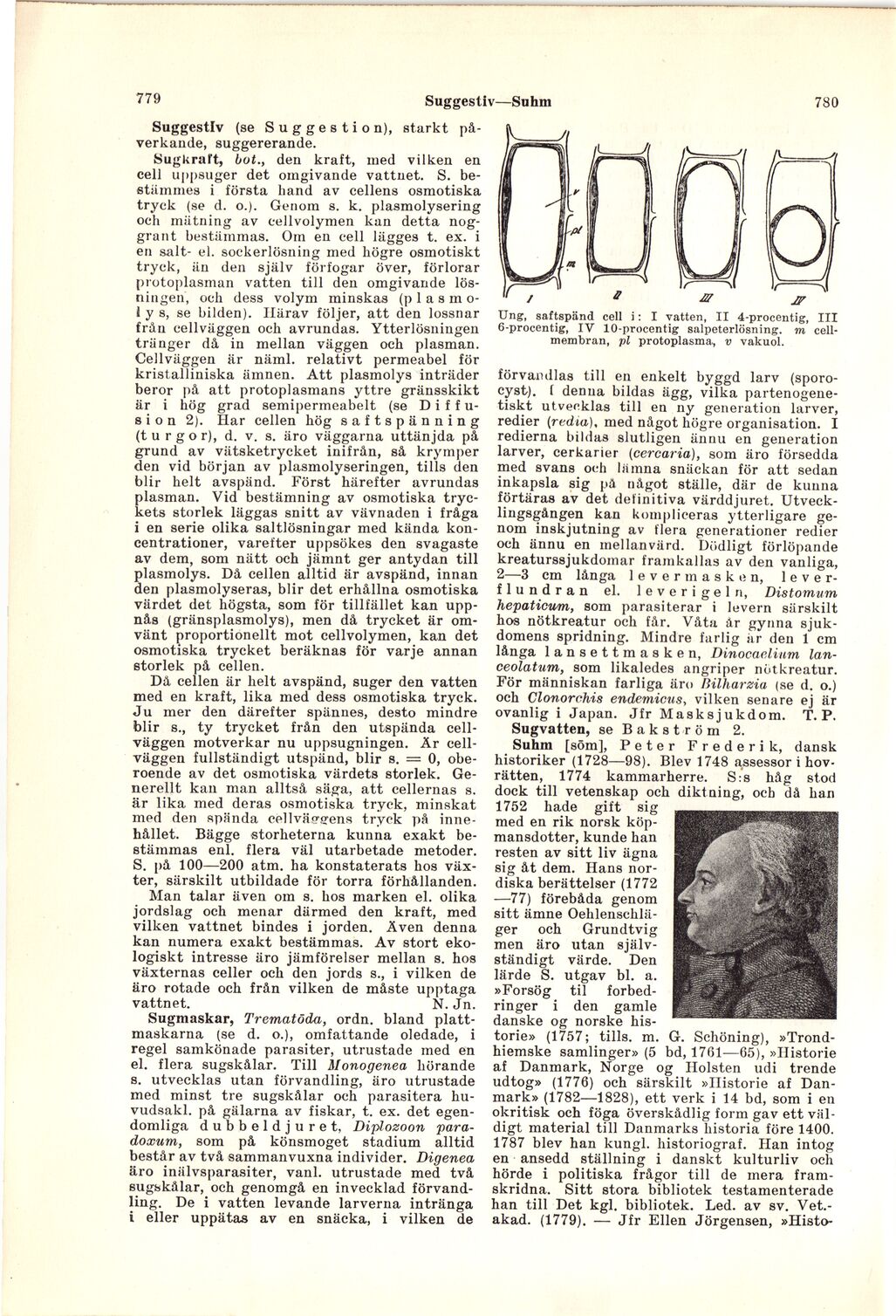 scanned image