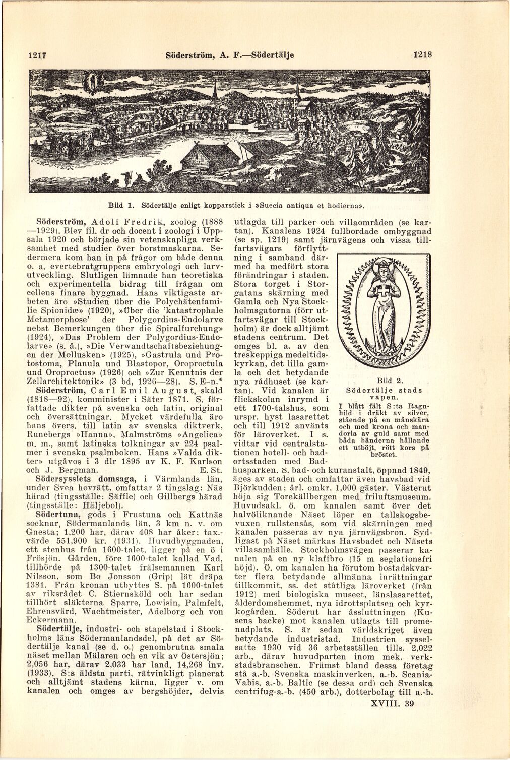 scanned image