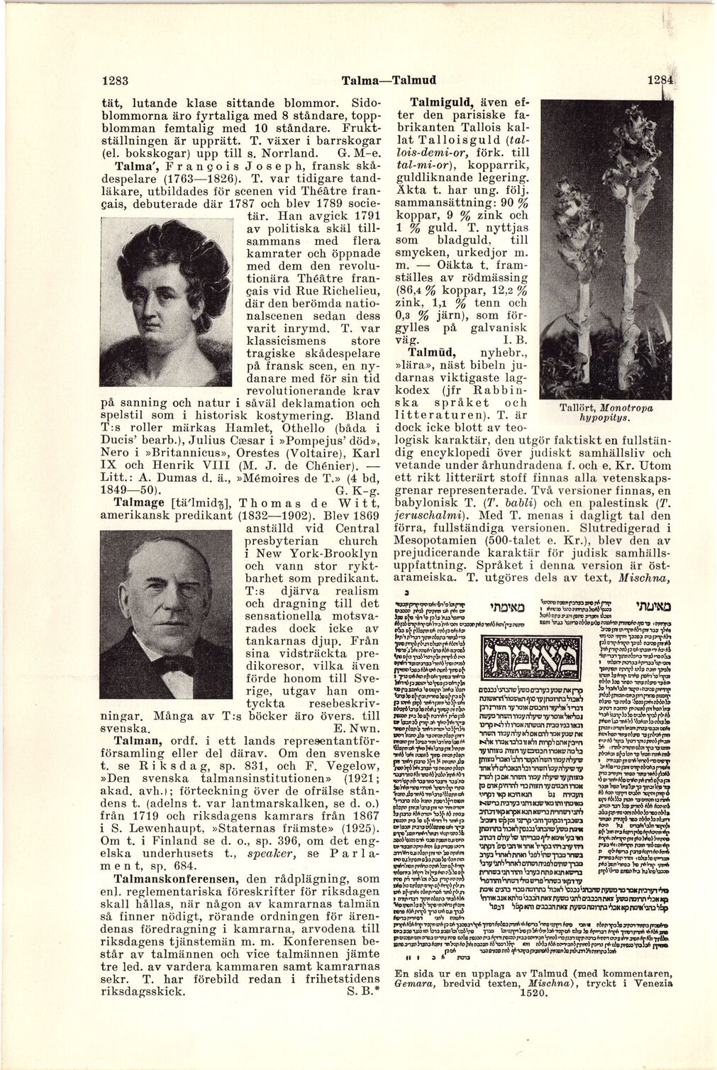 scanned image