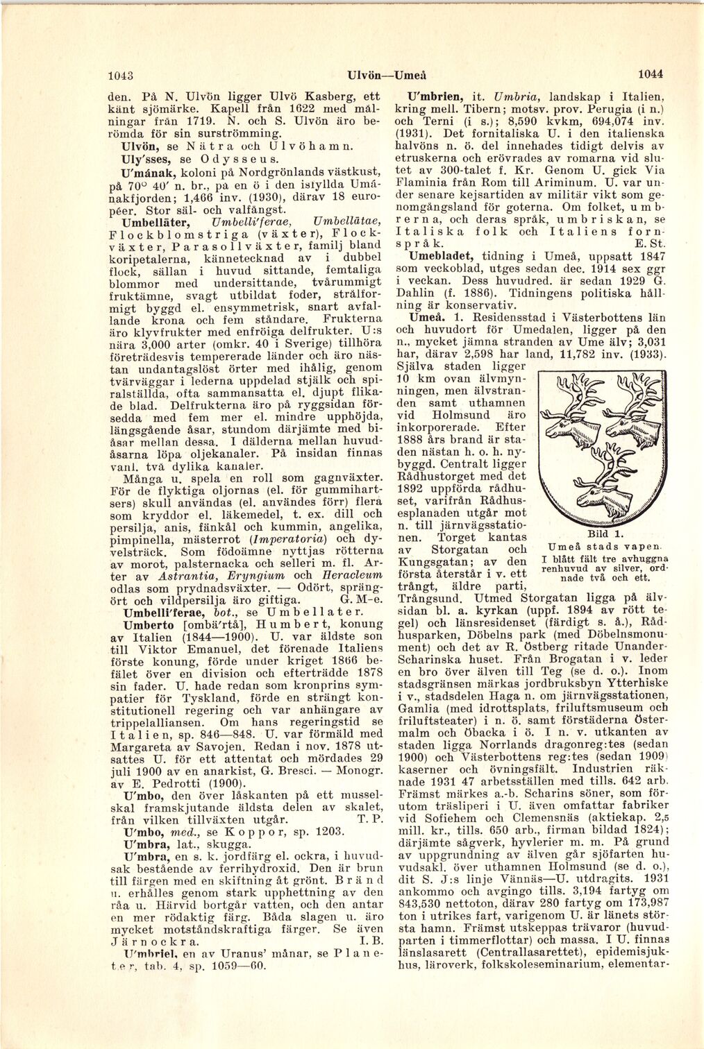 scanned image