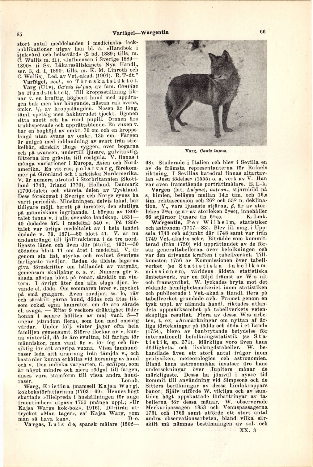 scanned image