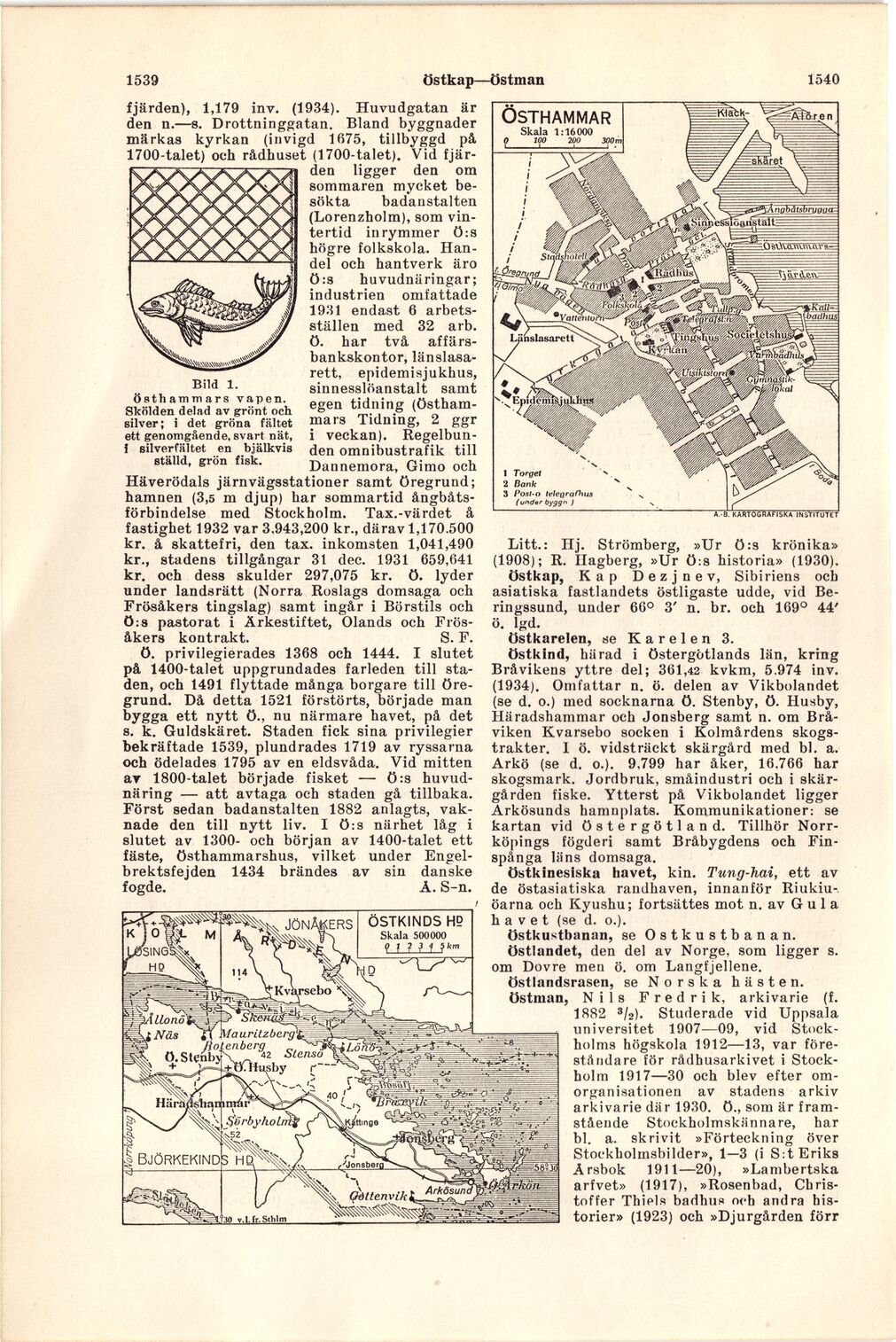 scanned image