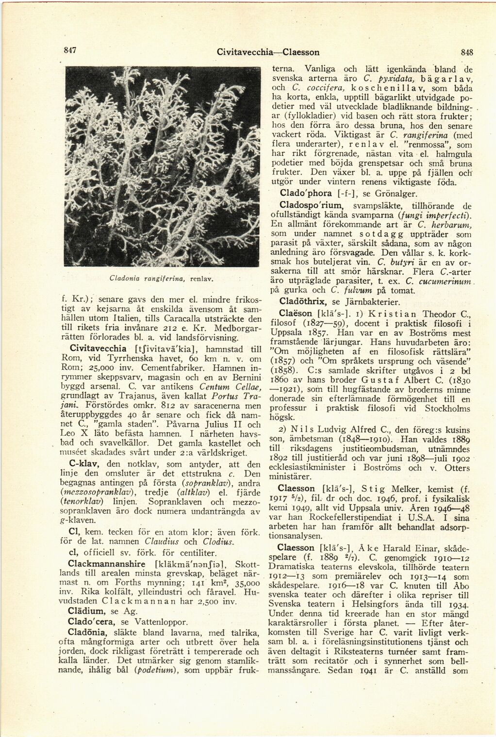 scanned image