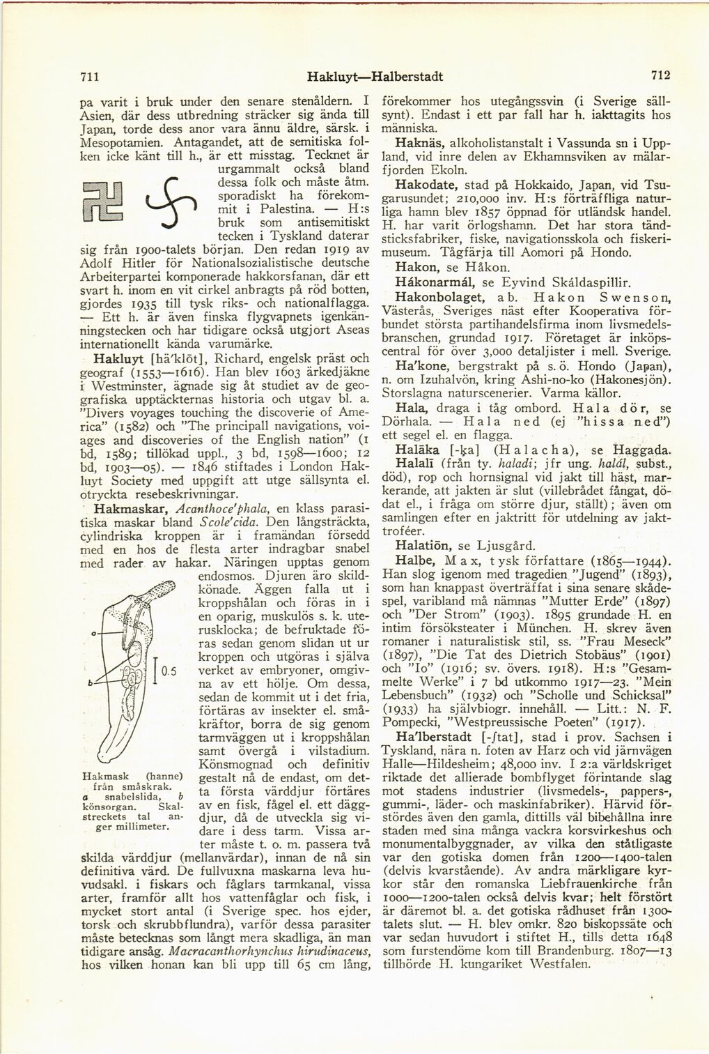 scanned image