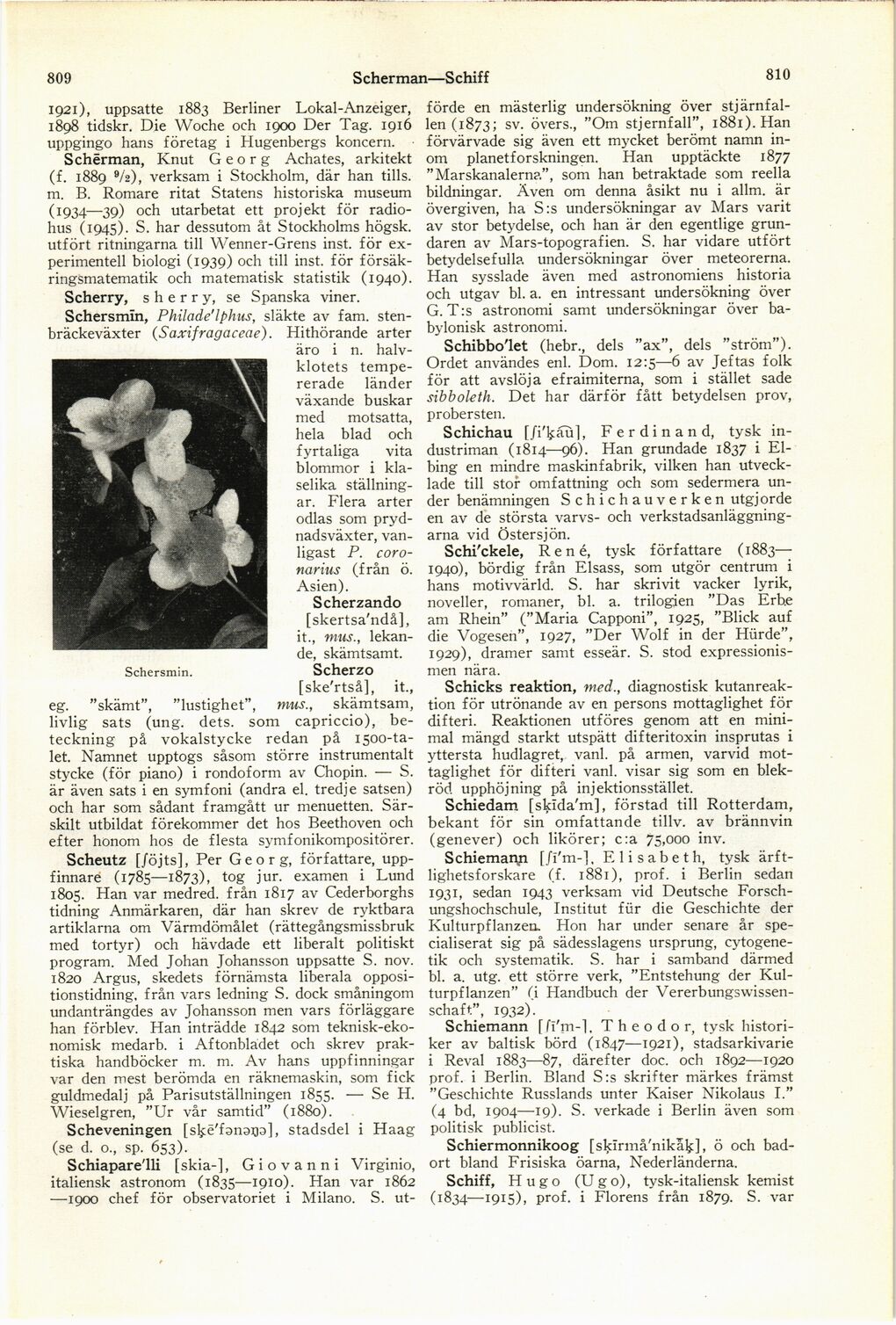 scanned image