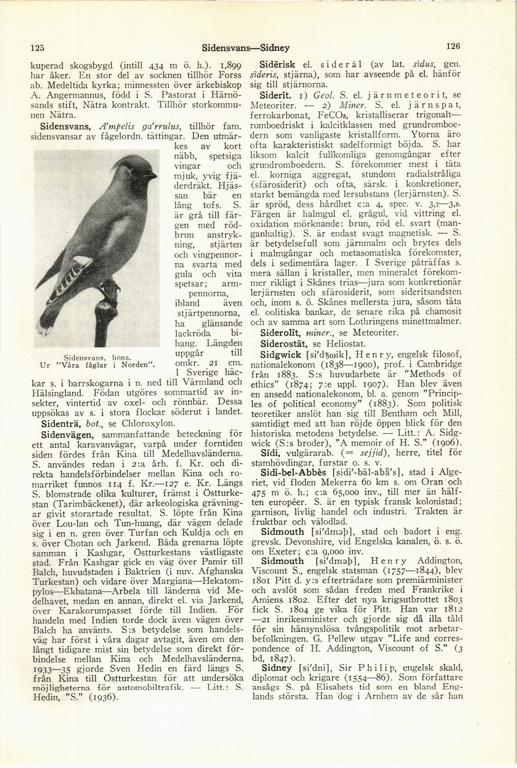 scanned image