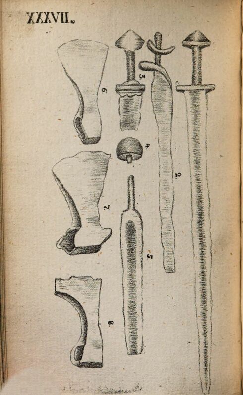 scanned image