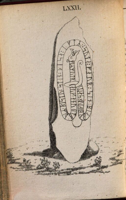 scanned image