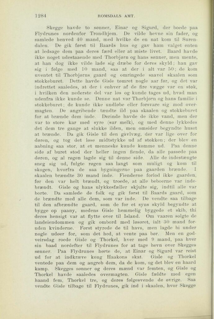 scanned image