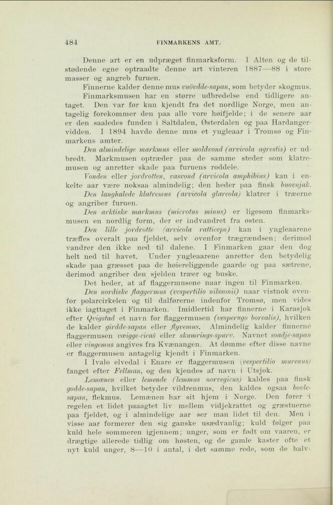 scanned image