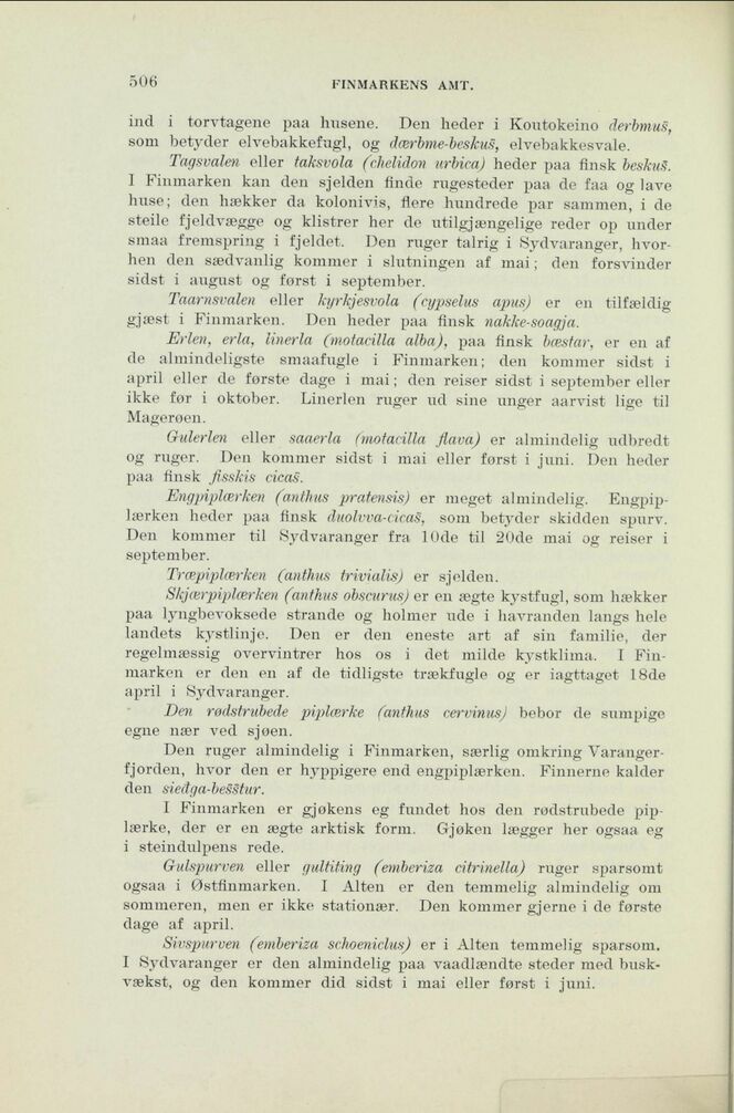 scanned image