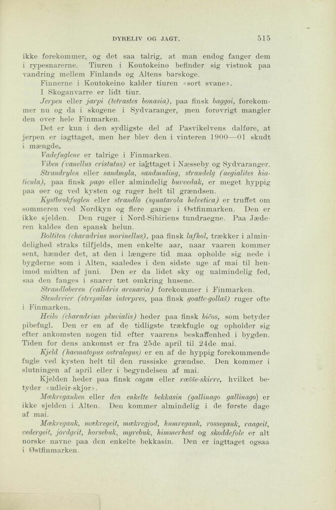 scanned image