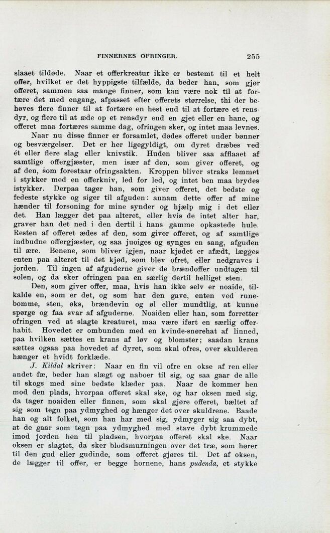 scanned image