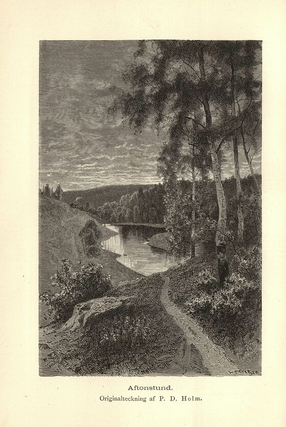 scanned image