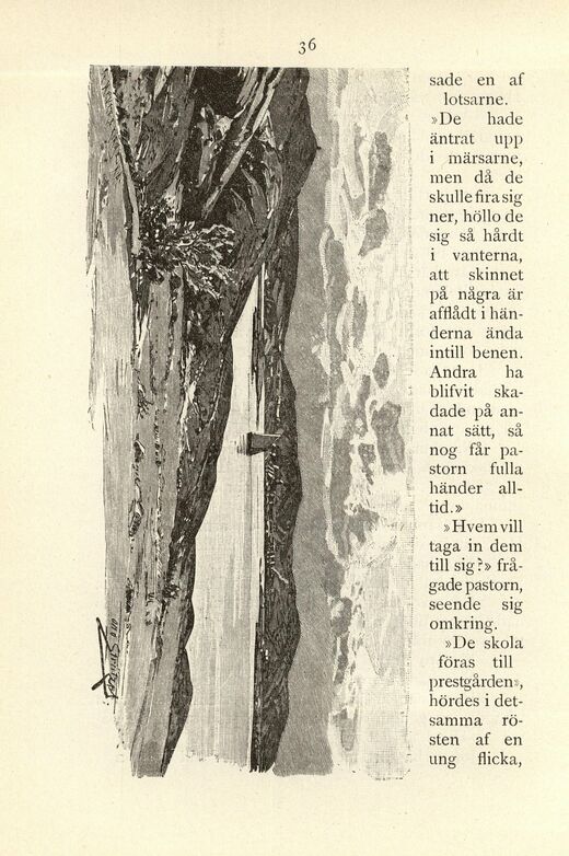 scanned image