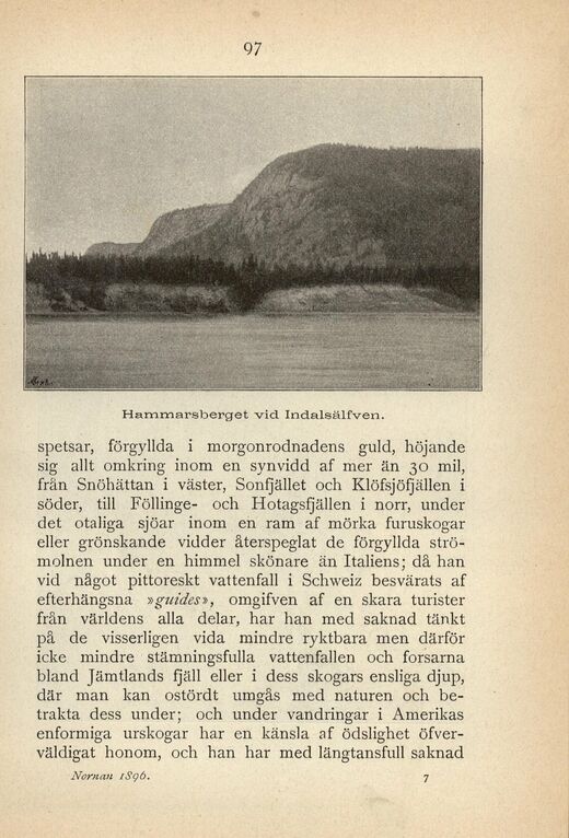 scanned image