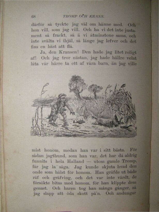 scanned image