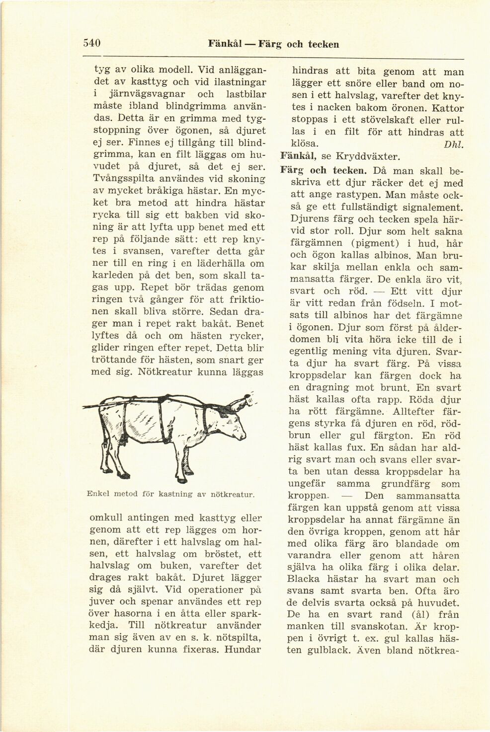 scanned image