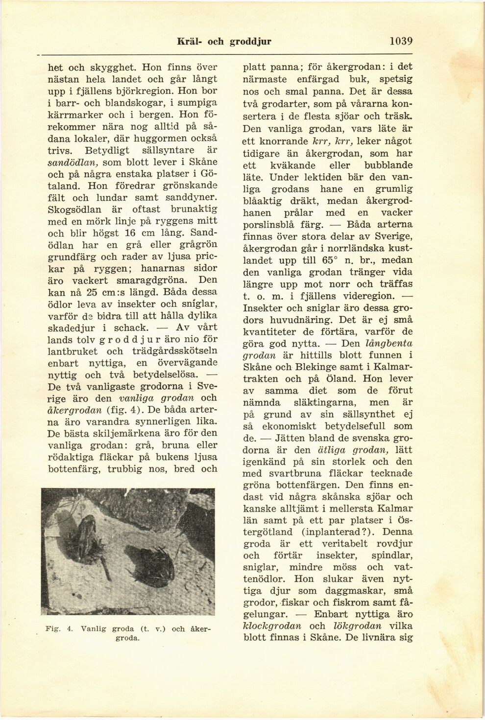 scanned image