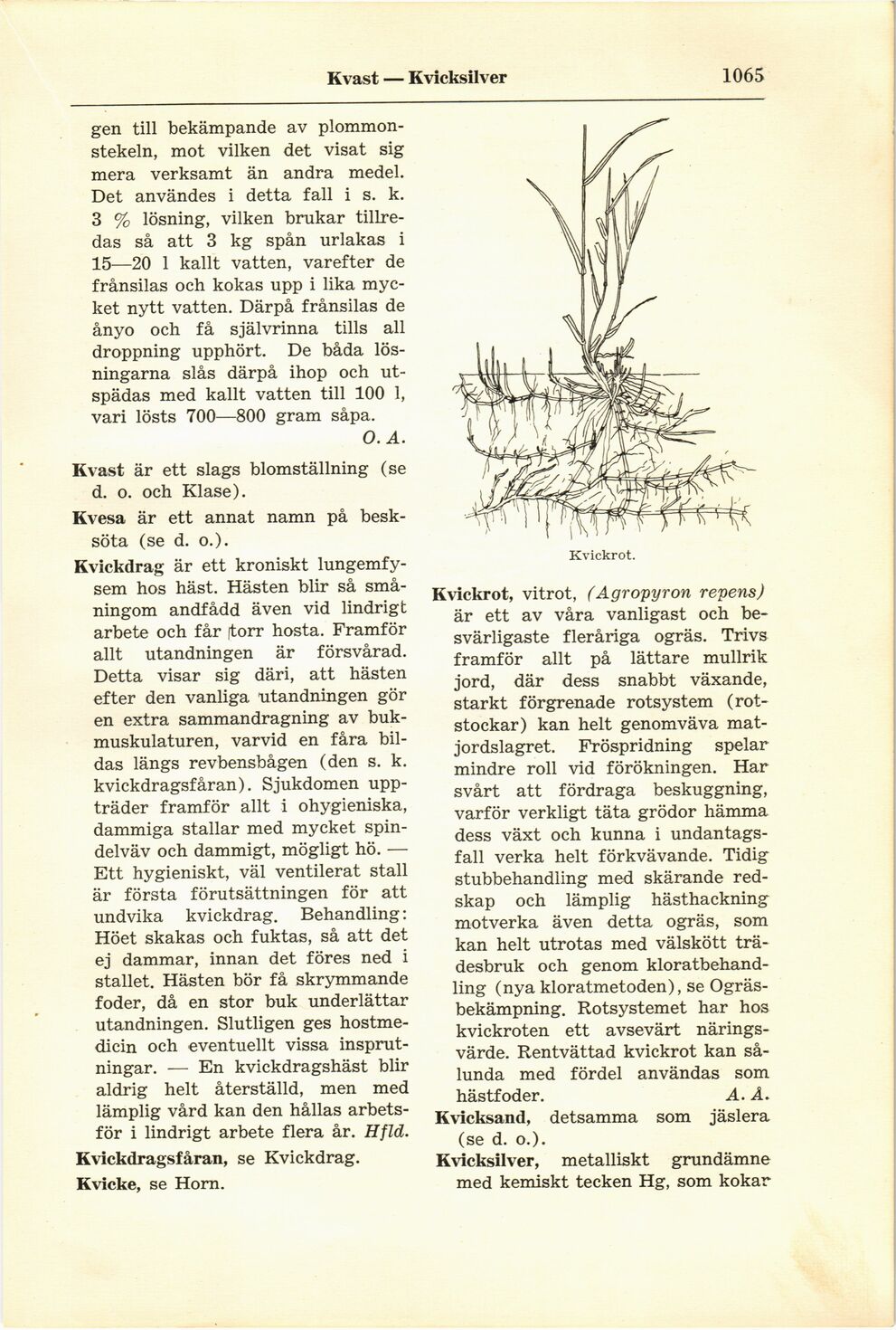 scanned image