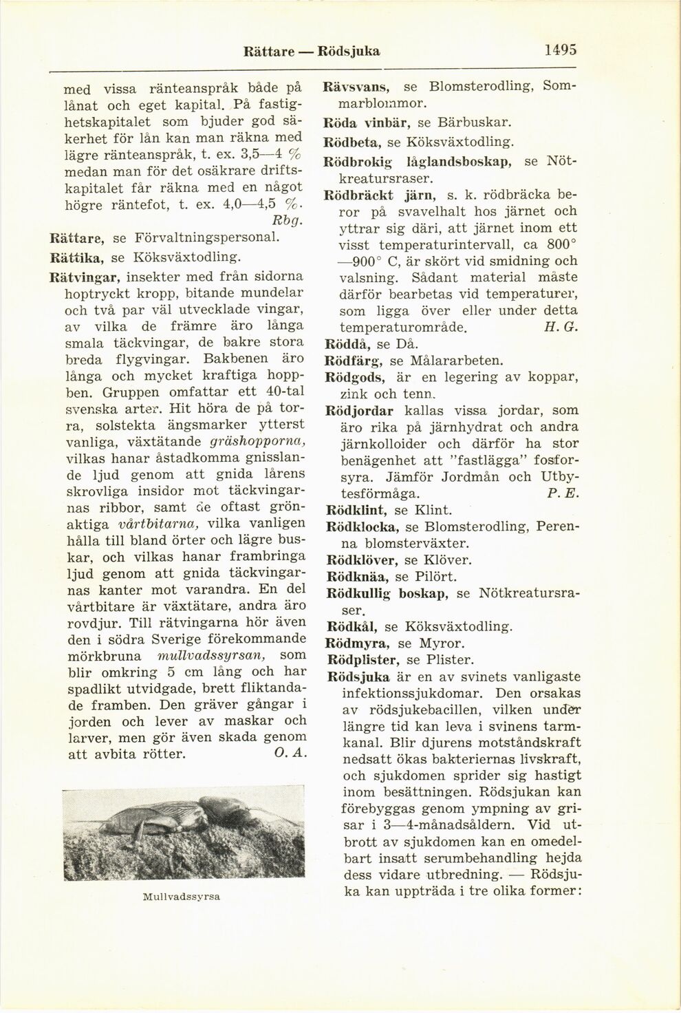 scanned image