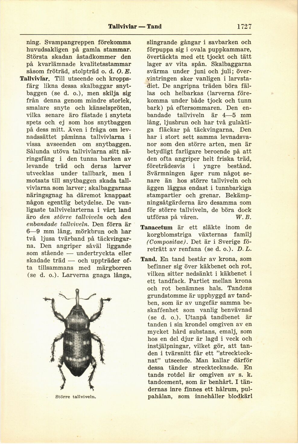 scanned image