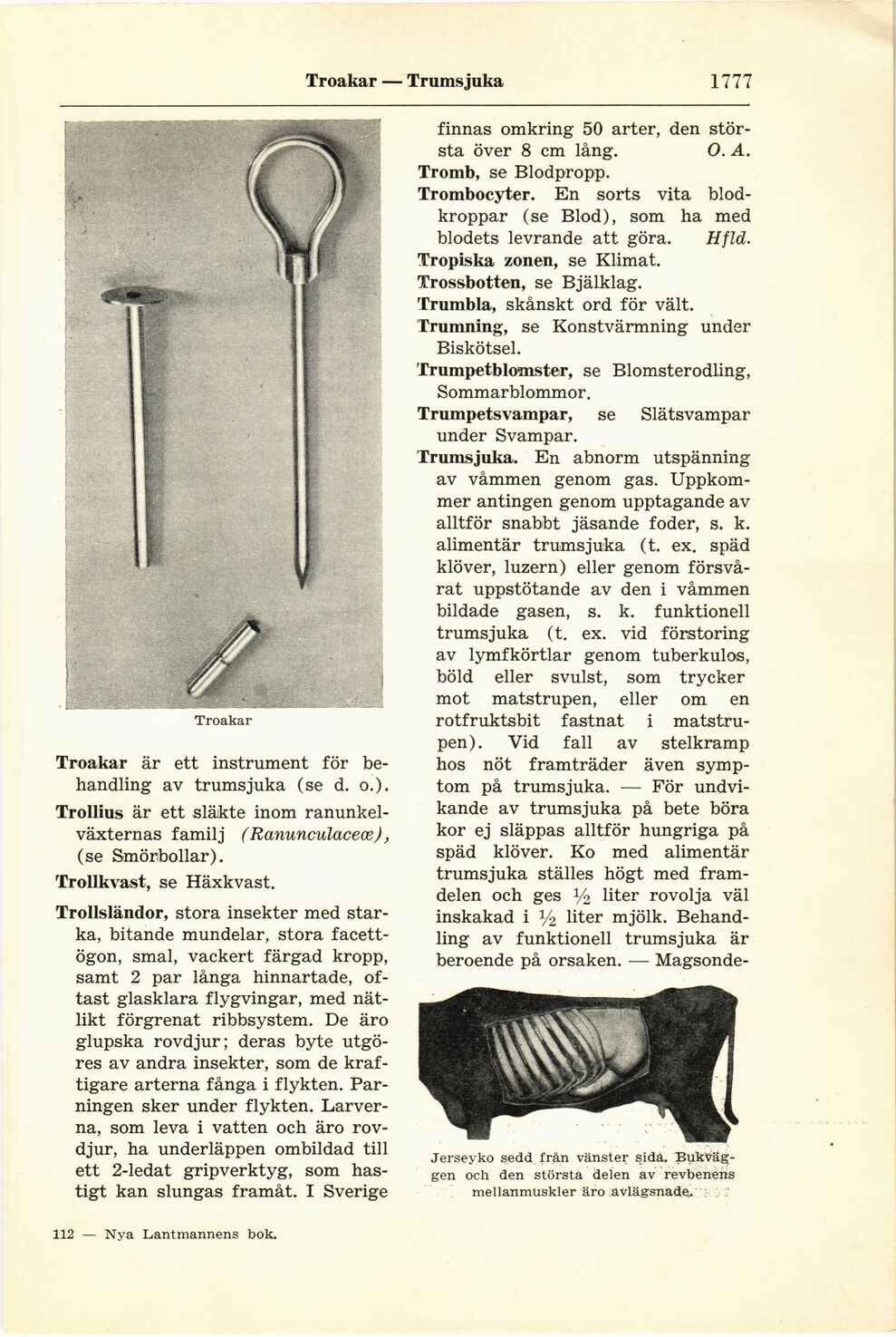 scanned image