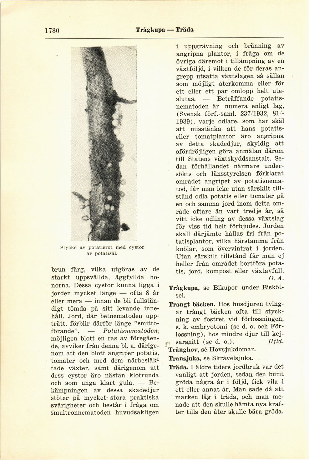 scanned image