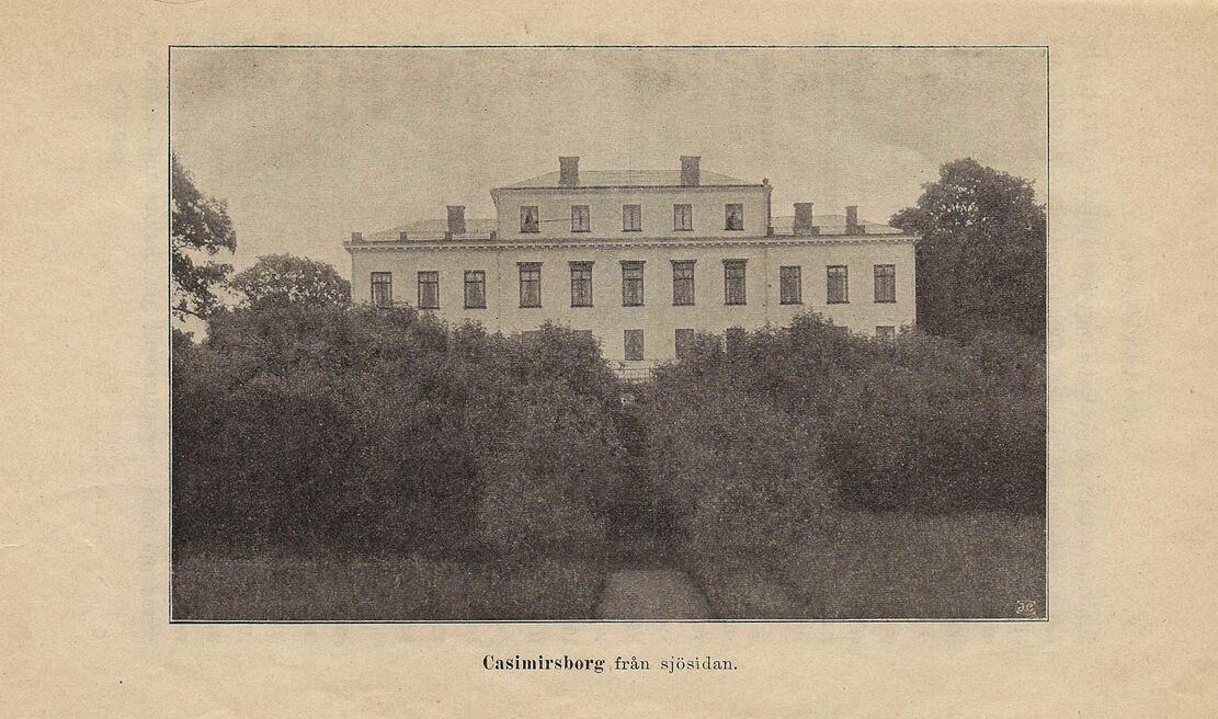scanned image