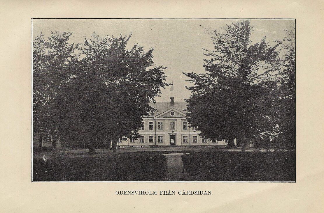 scanned image