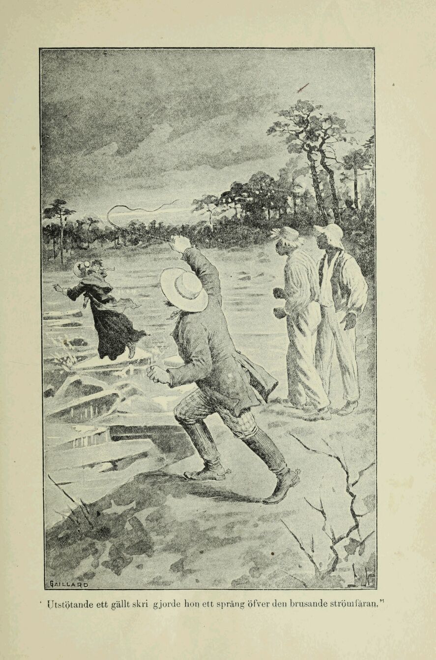 scanned image