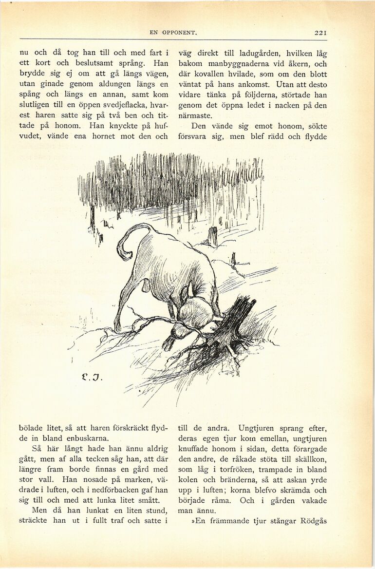 scanned image
