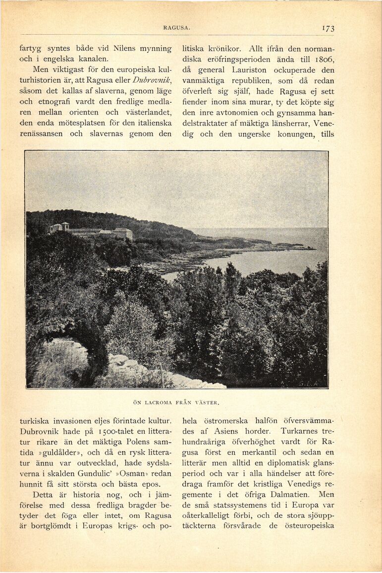 scanned image