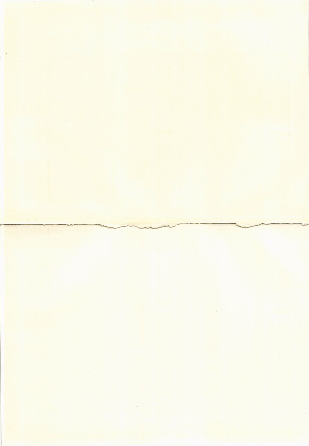 scanned image