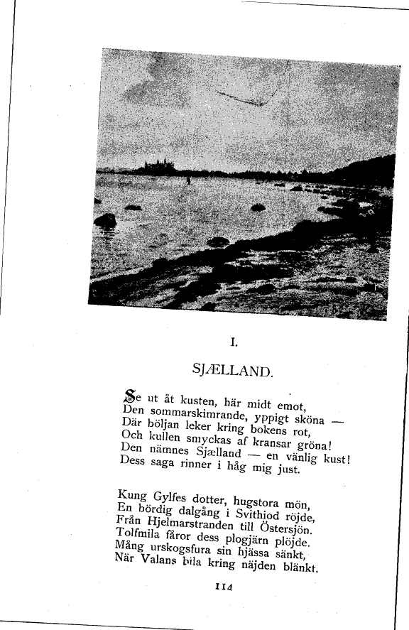 scanned image
