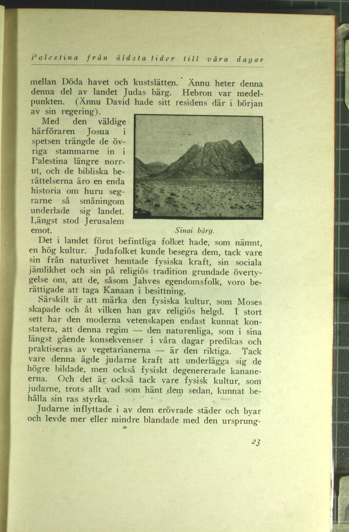 scanned image