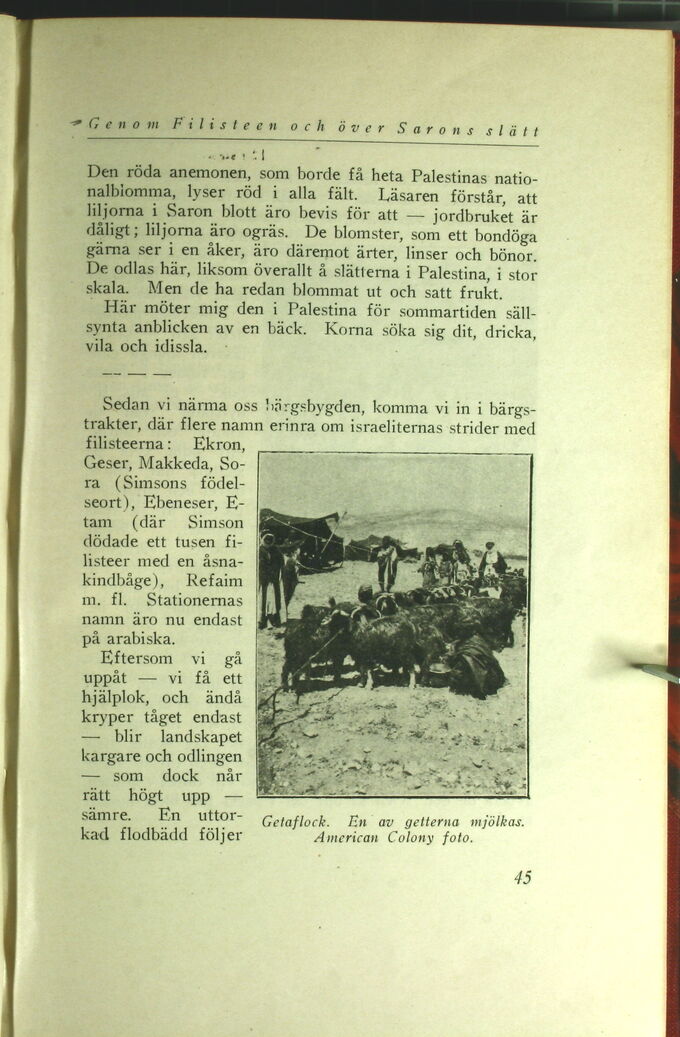 scanned image