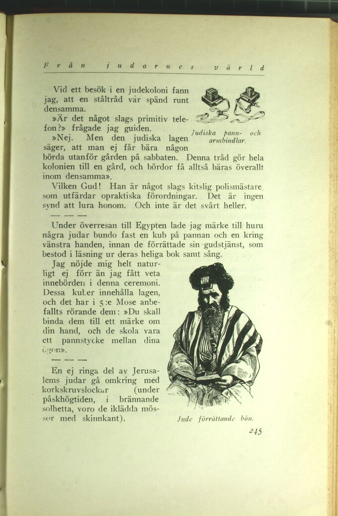 scanned image