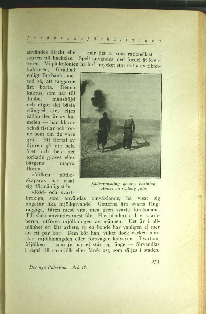 scanned image
