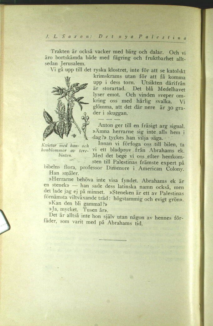 scanned image